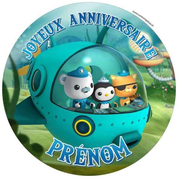 Décoration gâteau personnalisé Octonauts disque sucre