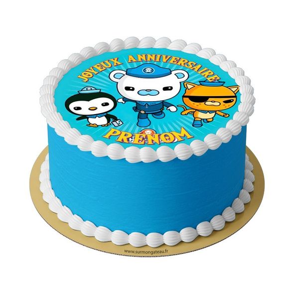 Gâteau Octonauts décoration anniversaire
