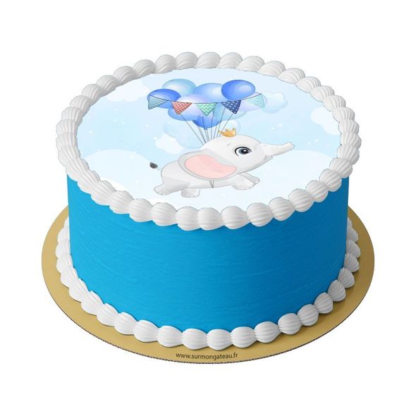 Gâteau Baby Shower Bleu  décoration anniversaire