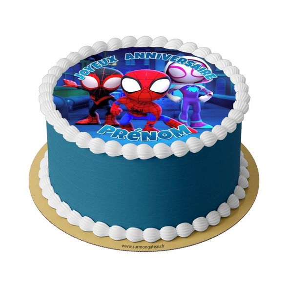 Gâteau Spidey et ses amis décoration anniversaire